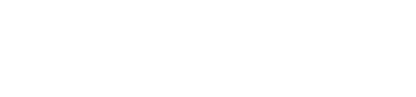 PM560