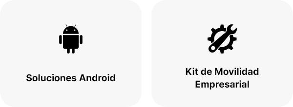 PM500