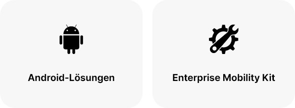 PM500